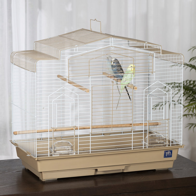 Tucker Murphy Pet™ Cassius 23.5'' Victorian Top Table Top Bird Cage